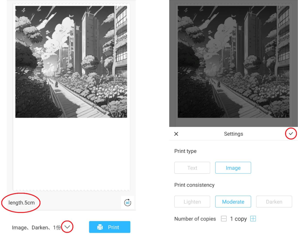 Print preview and the additional print settings panel